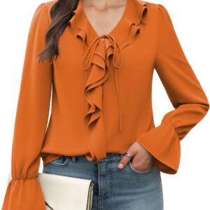 Women's Long Sleeve Tops Dressy Casual V Neck Ruffle Tunic Chiffon Blouse Fall Trendy Work Shirts