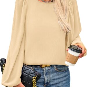 Womens Tops  Spring Puff Long Sleeve Chiffon Work Blouses Dressy Casual Crewneck Flowy Shirts Fall Outfits